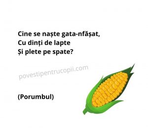 ghicitori_despre_porumb
