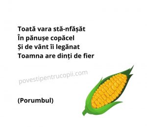 ghicitori_despre_porumb