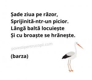 ghicitori_despre_barza