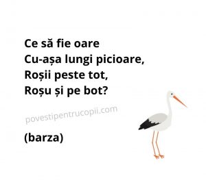 ghicitori_despre_barza