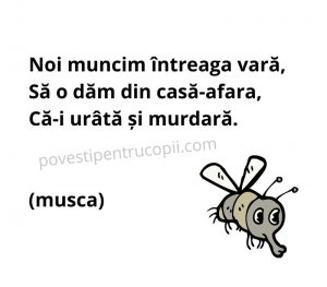 ghicitori_despre_musca