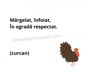 ghicitori_despre_curcan