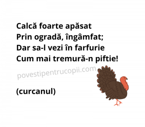 ghicitori_despre_curcan