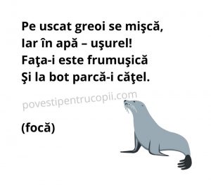 ghicitori_despre_foca