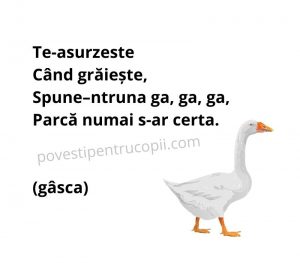 ghicitori_despre_gasca