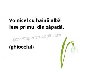ghicitori_despre_ghiocel
