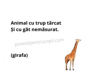 ghicitori_despre_girafa