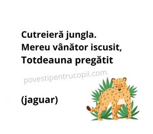 ghicitori_despre_jaguar