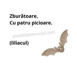 ghicitori_despre_liliac