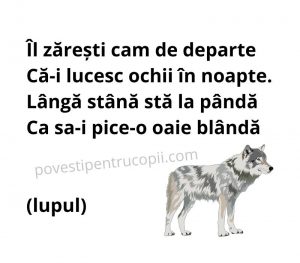 ghicitori_despre_lup