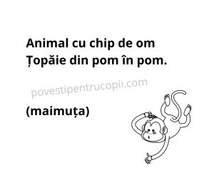 ghicitori_despre_maimuta