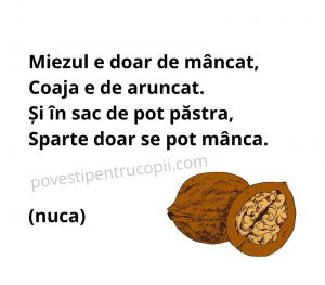ghicitori_despre_nuca