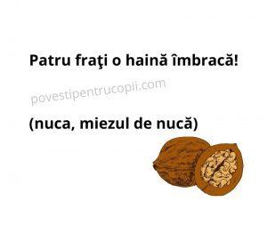 ghicitori_despre_nuca