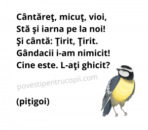 ghicitori_despre_pitigoi