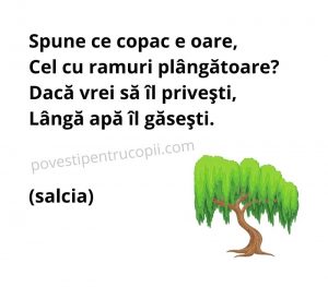 ghicitori_despre_salcie