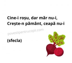 ghicitori_despre_sfecla