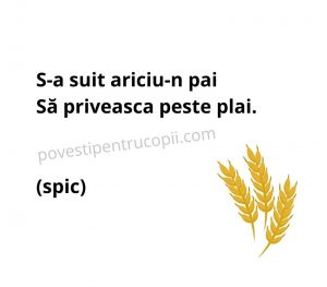 ghicitori_despre_spic