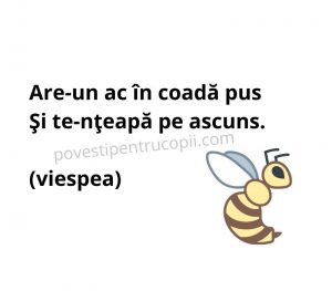 ghicitori_despre_viespe