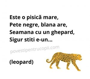 ghicitori_despre_leopard